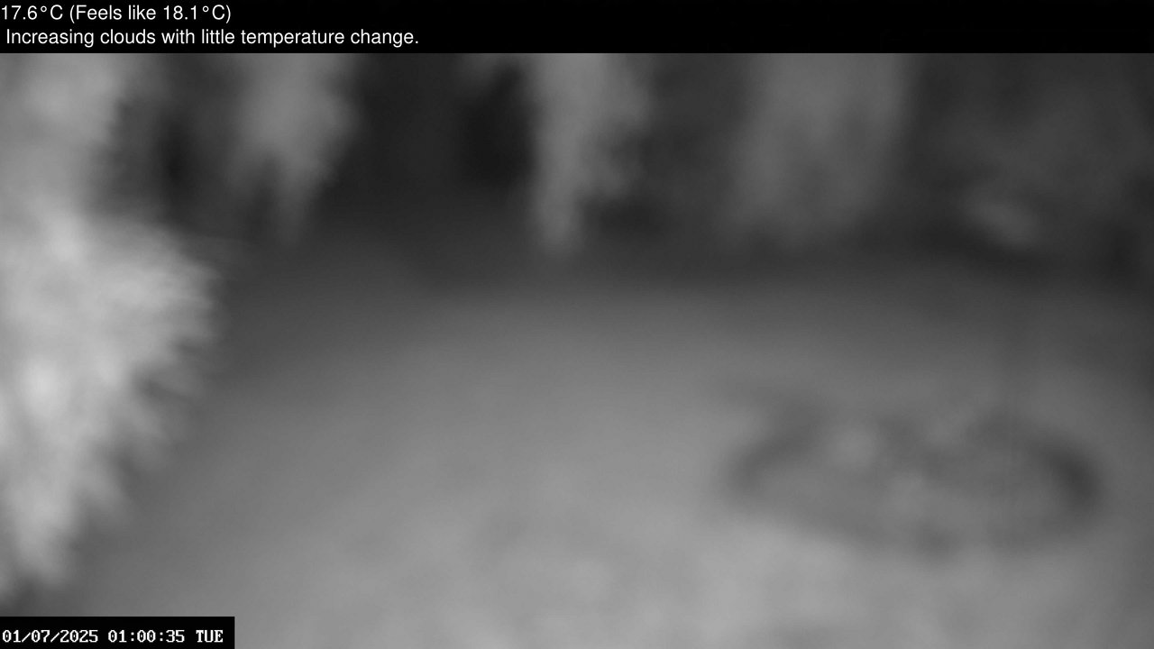 time-lapse frame, Wembury, Devon. Garden Zoom Cam webcam