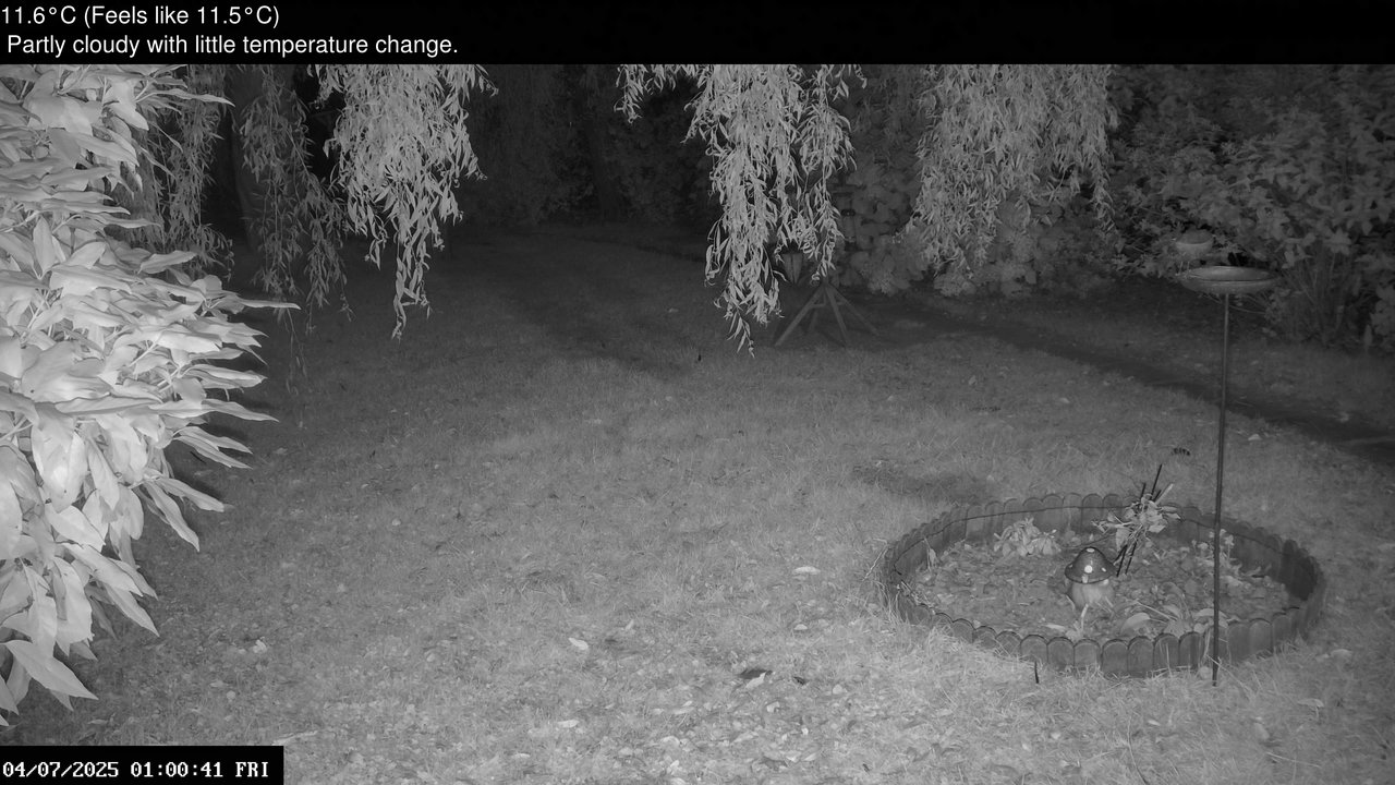 time-lapse frame, Wembury, Devon. Garden Zoom Cam webcam