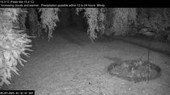 view from Wembury, Devon. Garden Zoom Cam on 2025-07-05