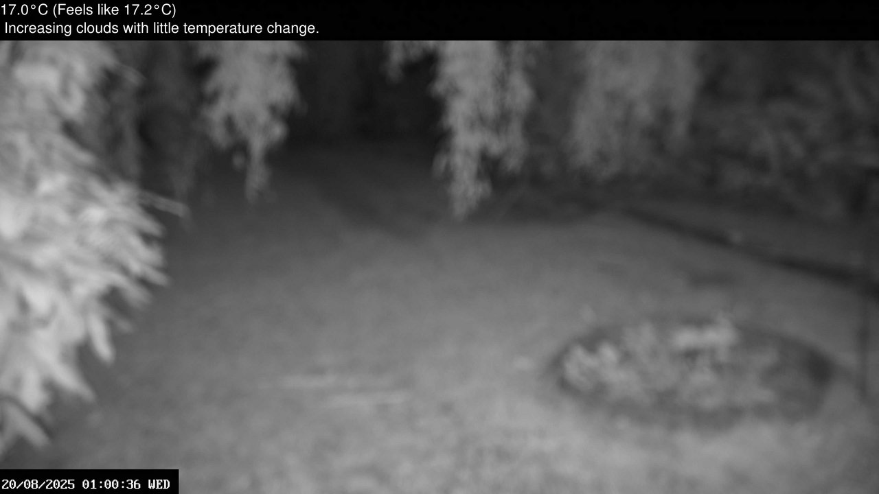 time-lapse frame, Wembury, Devon. Garden Zoom Cam webcam