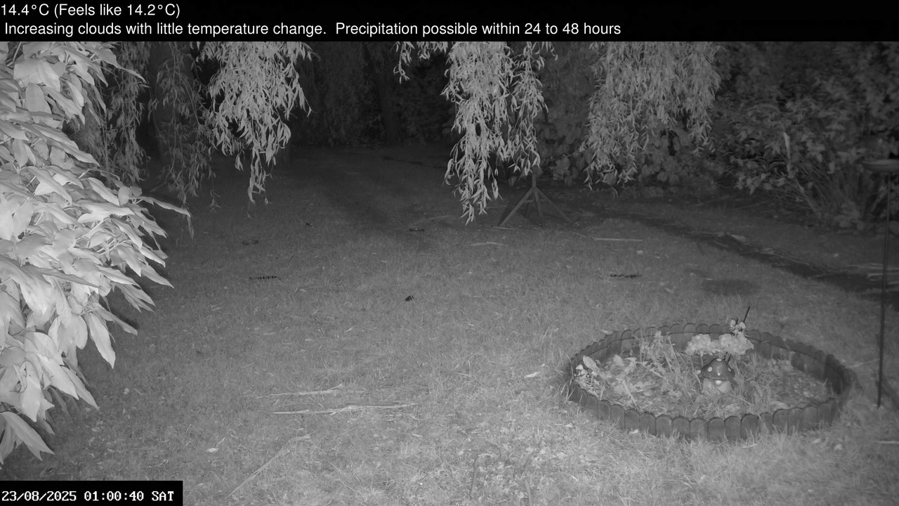 time-lapse frame, Wembury, Devon. Garden Zoom Cam webcam