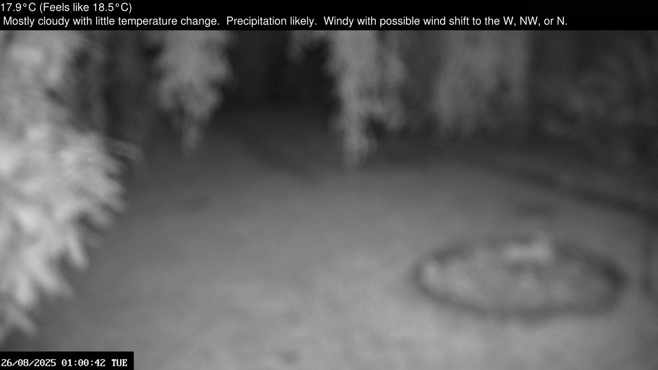 time-lapse frame, Wembury, Devon. Garden Zoom Cam webcam