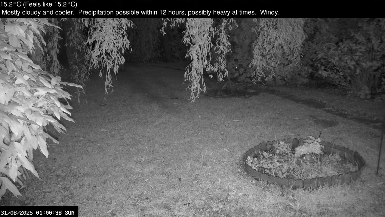 time-lapse frame, Wembury, Devon. Garden Zoom Cam webcam
