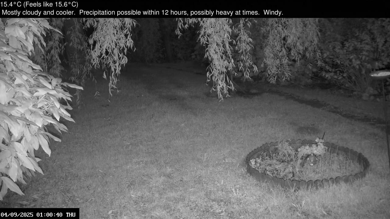 time-lapse frame, Wembury, Devon. Garden Zoom Cam webcam