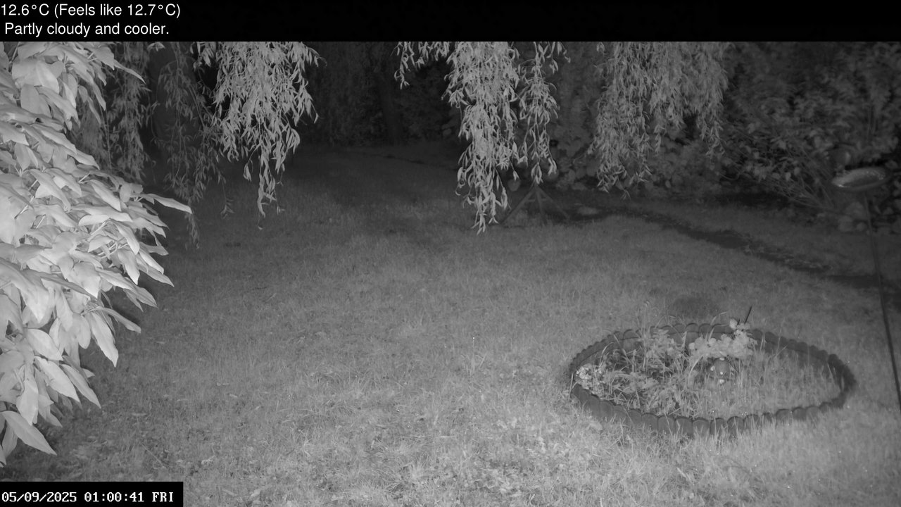 time-lapse frame, Wembury, Devon. Garden Zoom Cam webcam