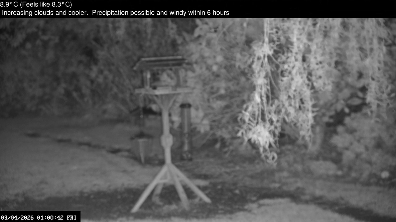 time-lapse frame, Wembury, Devon. Garden Zoom Cam webcam