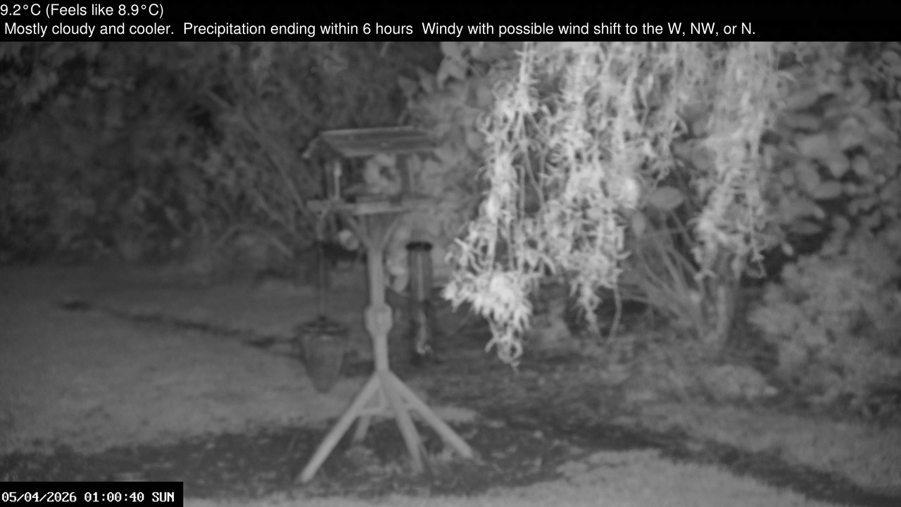 time-lapse frame, Wembury, Devon. Garden Zoom Cam webcam