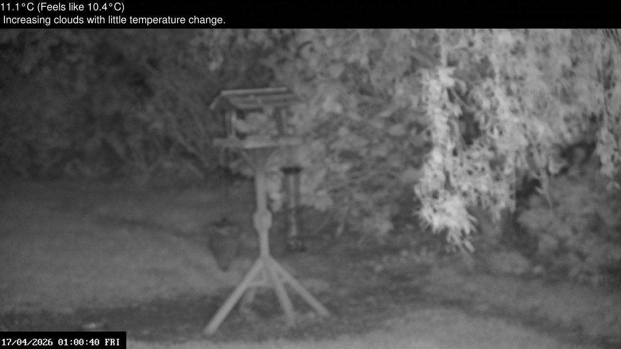 time-lapse frame, Wembury, Devon. Garden Zoom Cam webcam