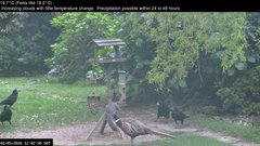 view from Wembury, Devon. Garden Zoom Cam on 2026-05-02