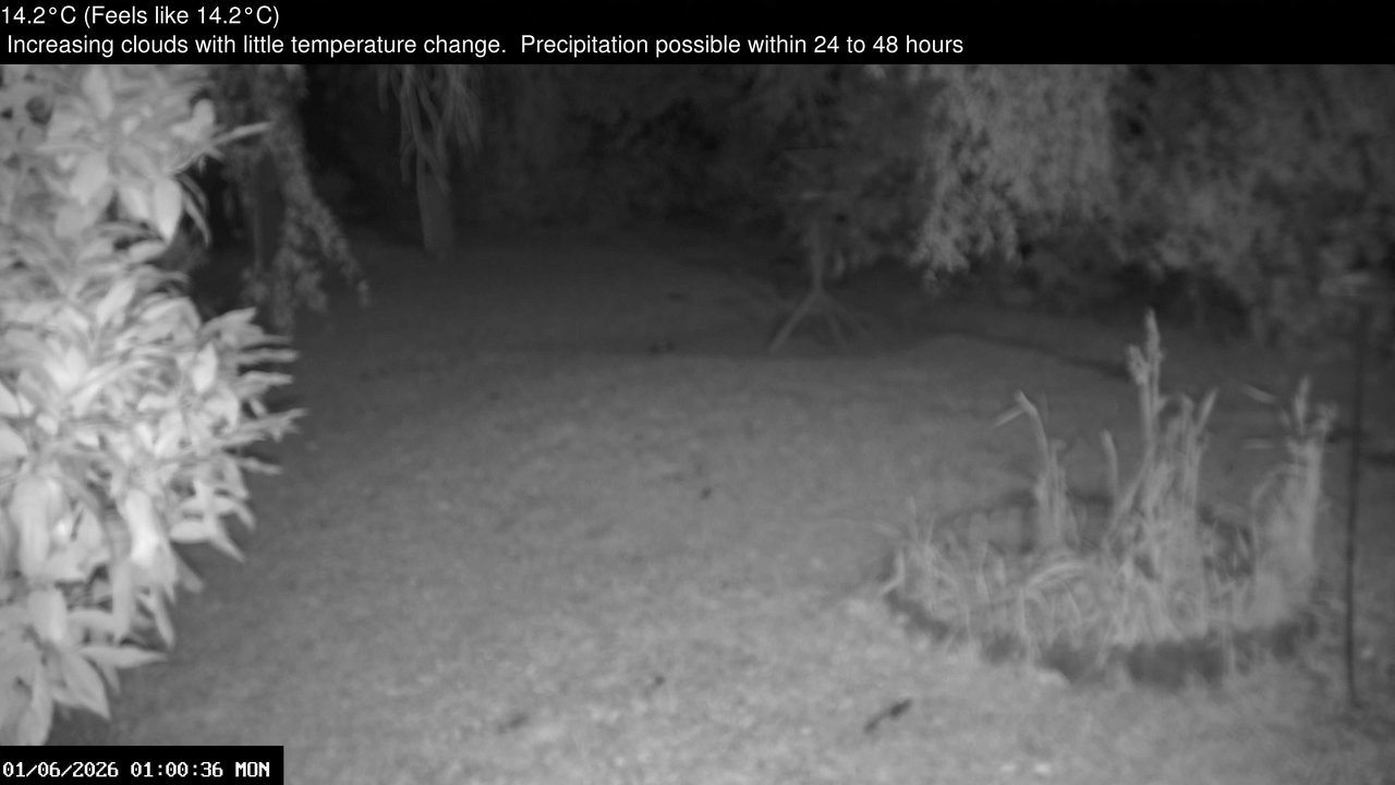 time-lapse frame, Wembury, Devon. Garden Zoom Cam webcam