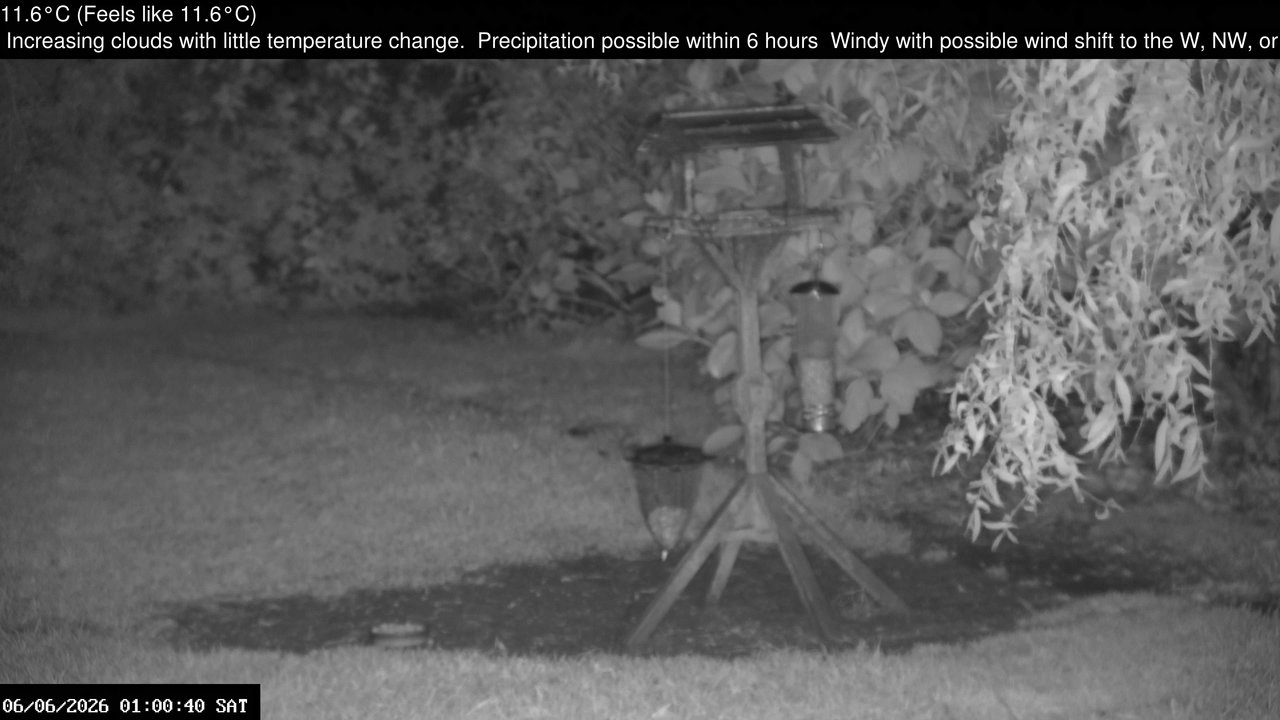 time-lapse frame, Wembury, Devon. Garden Zoom Cam webcam