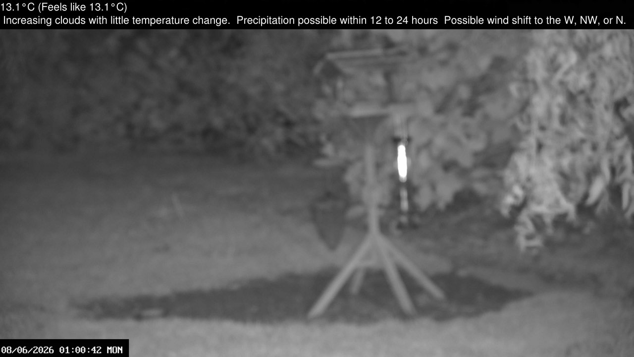 time-lapse frame, Wembury, Devon. Garden Zoom Cam webcam