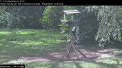 view from Wembury, Devon. Garden Zoom Cam on 2026-06-08