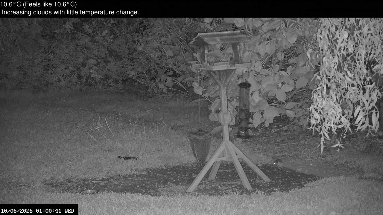 time-lapse frame, Wembury, Devon. Garden Zoom Cam webcam