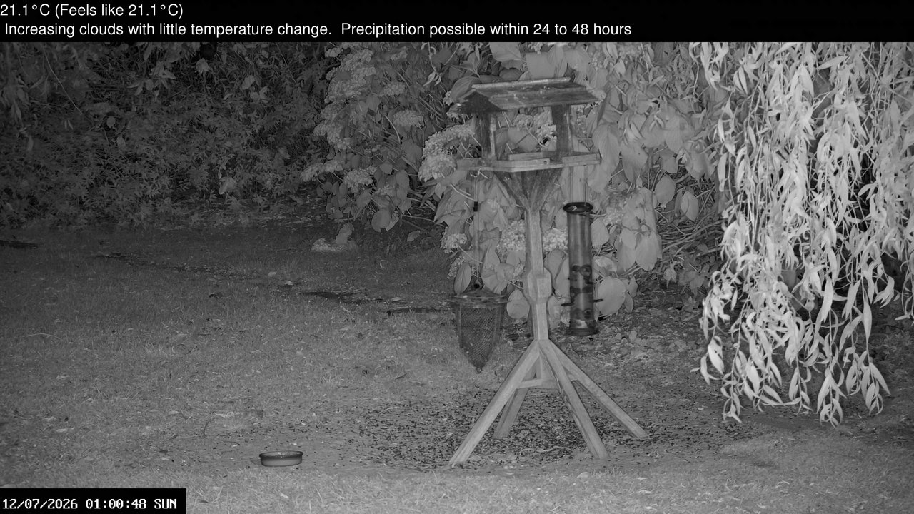 time-lapse frame, Wembury, Devon. Garden Zoom Cam webcam