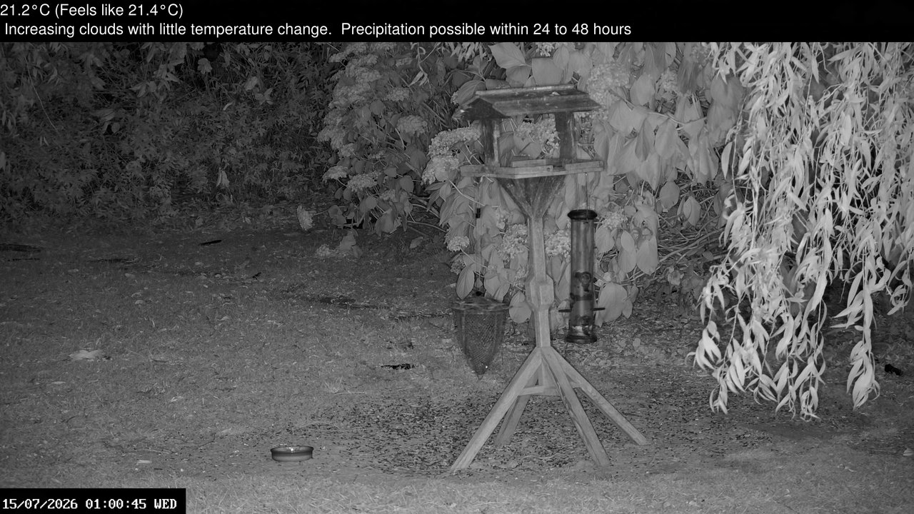 time-lapse frame, Wembury, Devon. Garden Zoom Cam webcam