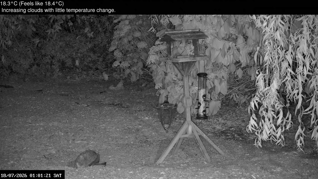 time-lapse frame, Wembury, Devon. Garden Zoom Cam webcam