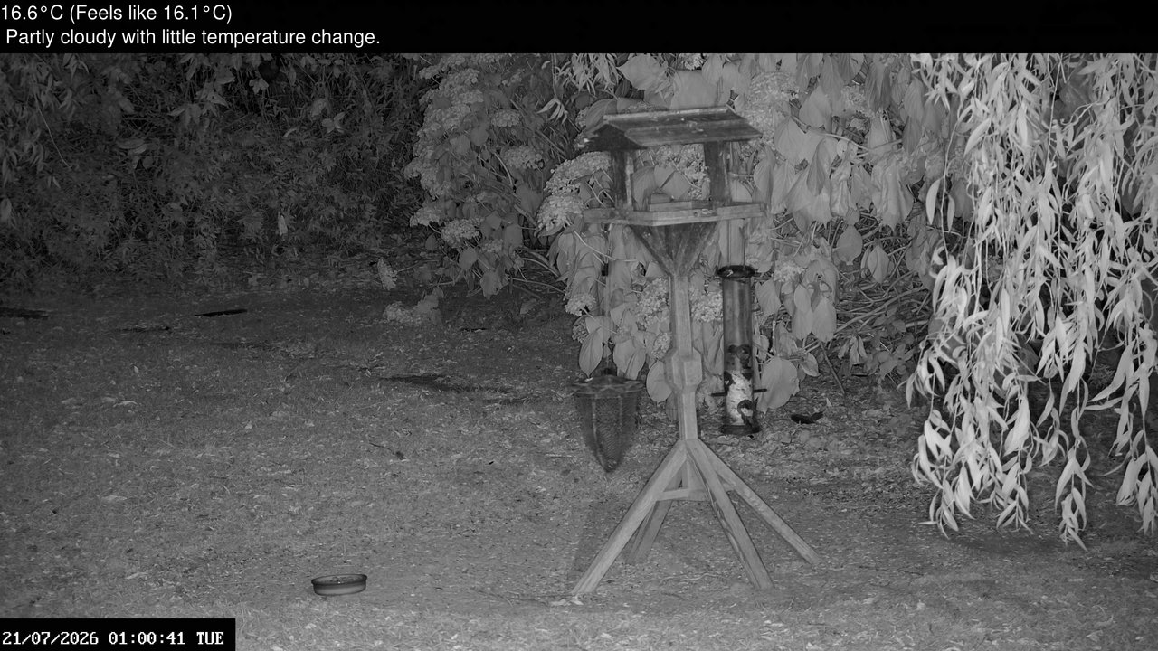 time-lapse frame, Wembury, Devon. Garden Zoom Cam webcam
