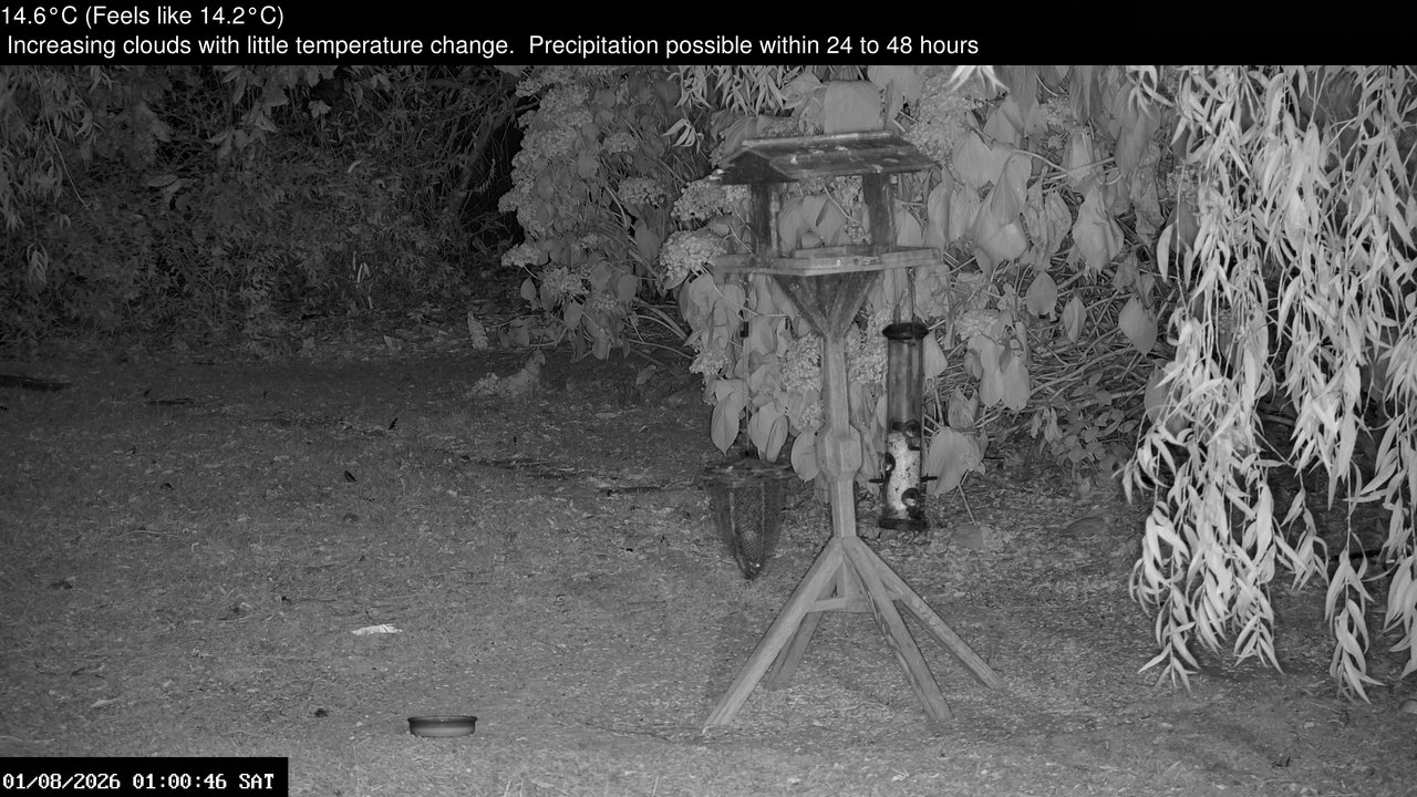 time-lapse frame, Wembury, Devon. Garden Zoom Cam webcam