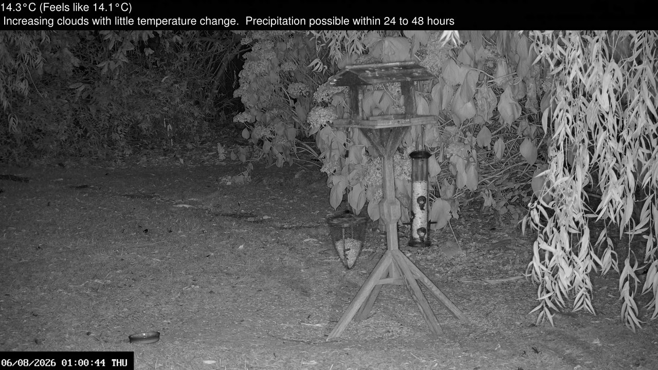 time-lapse frame, Wembury, Devon. Garden Zoom Cam webcam