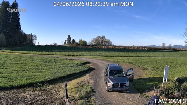 time-lapse frame, FAW CAM 3 webcam