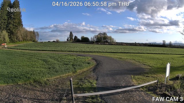 time-lapse frame, FAW CAM 3 webcam