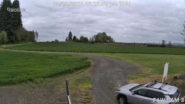 time-lapse frame, FAW CAM 3 webcam