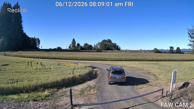 time-lapse frame, FAW CAM 3 webcam