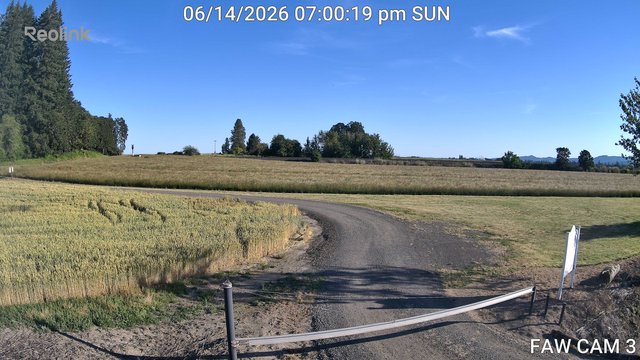 time-lapse frame, FAW CAM 3 webcam
