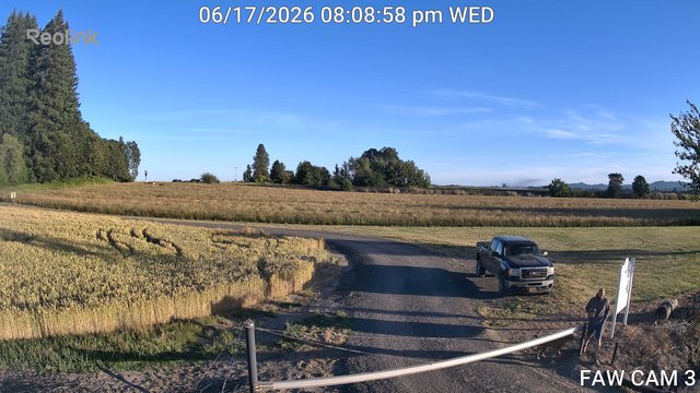 time-lapse frame, FAW CAM 3 webcam