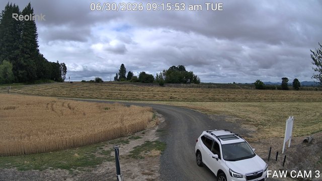 time-lapse frame, FAW CAM 3 webcam