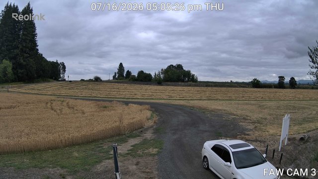 time-lapse frame, FAW CAM 3 webcam