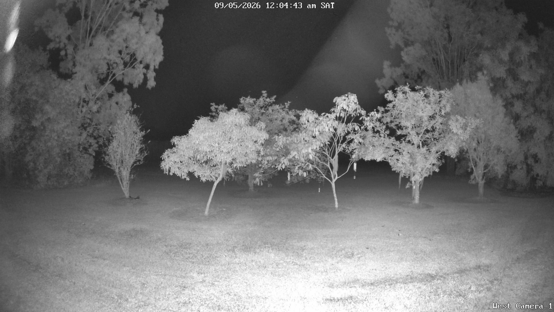 time-lapse frame, KelseyCreek West View webcam