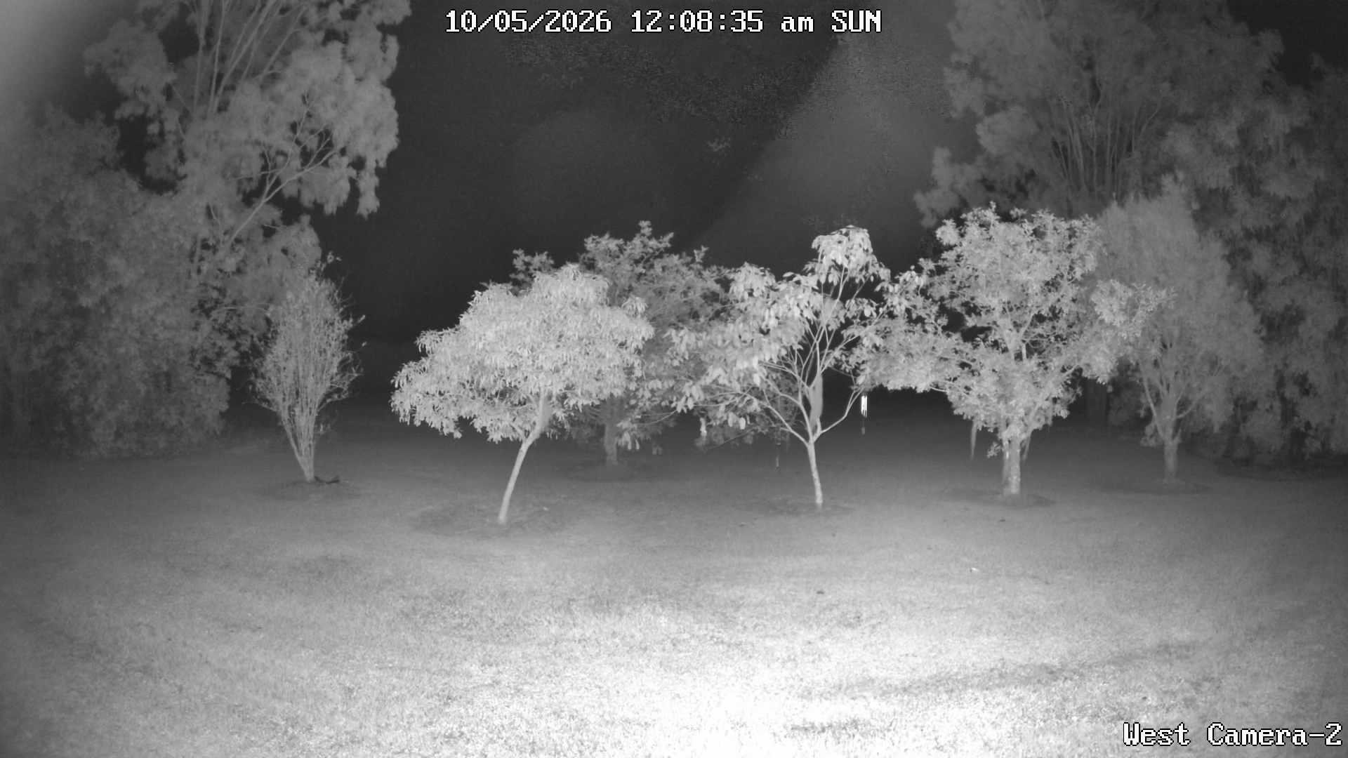 time-lapse frame, KelseyCreek West View webcam