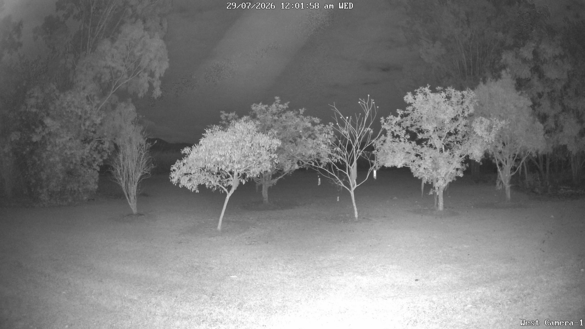 time-lapse frame, KelseyCreek West View webcam