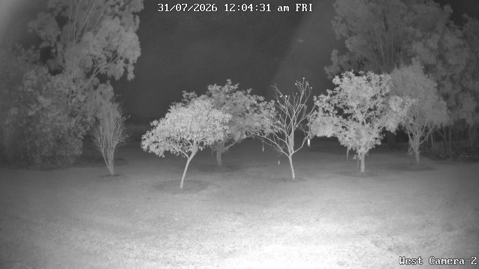 time-lapse frame, KelseyCreek West View webcam