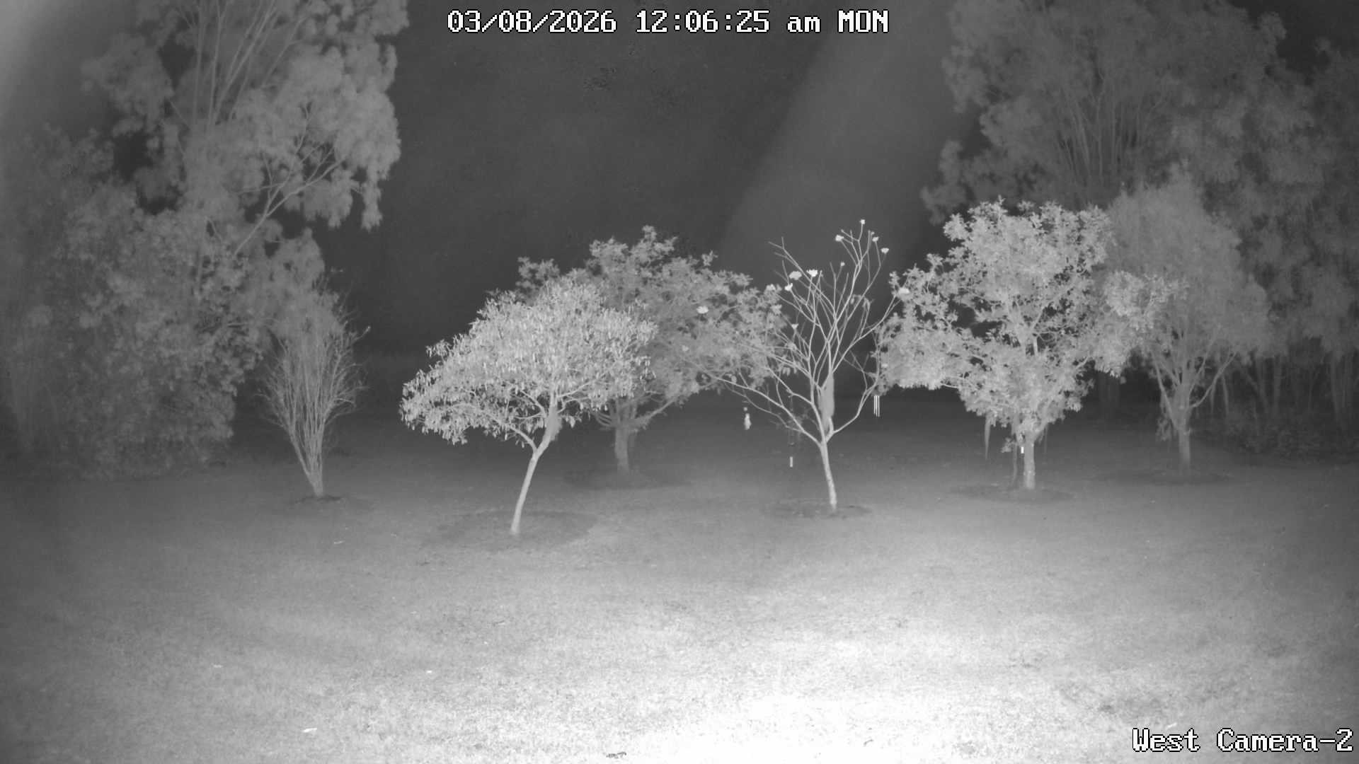 time-lapse frame, KelseyCreek West View webcam