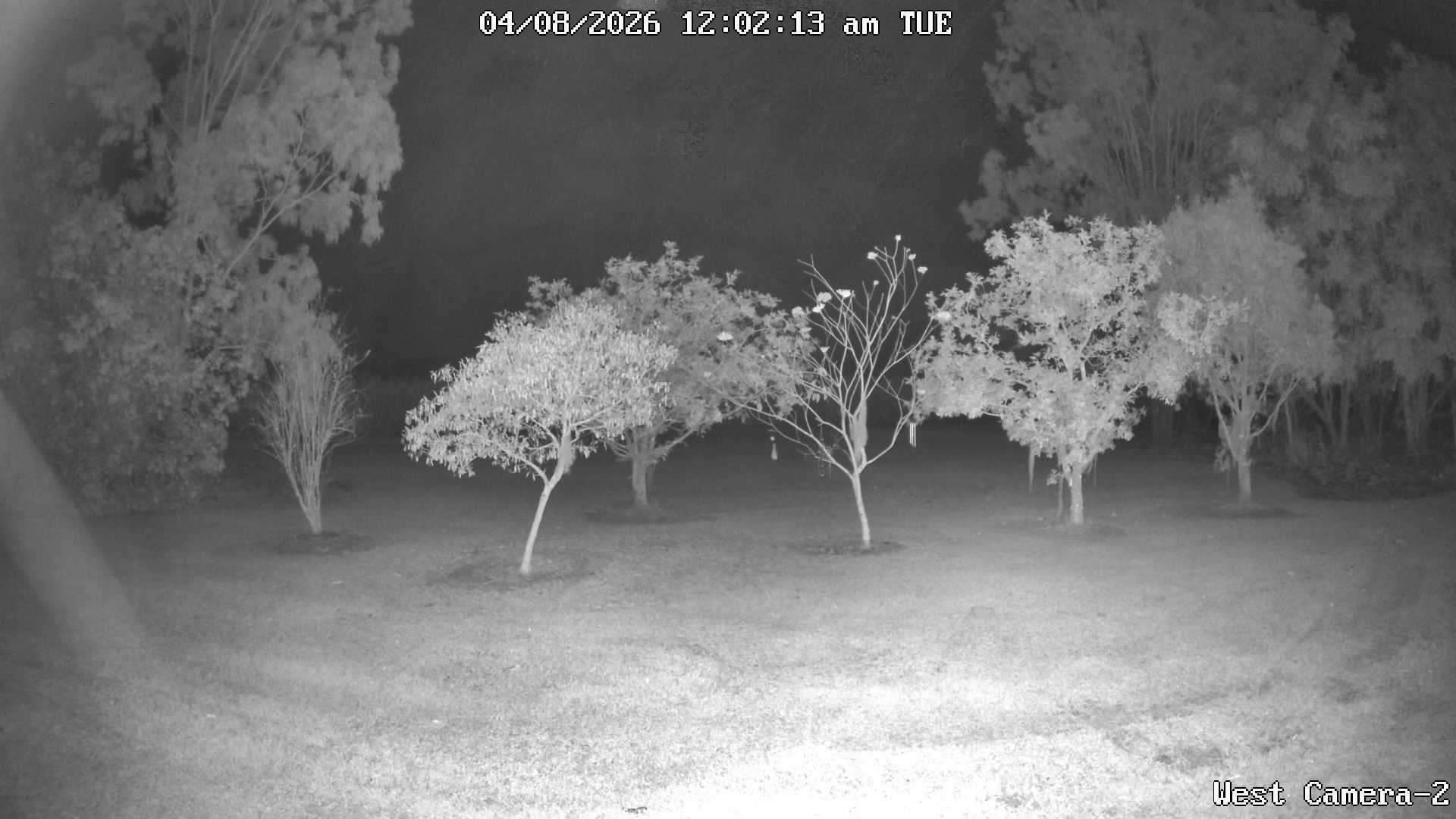 time-lapse frame, KelseyCreek West View webcam