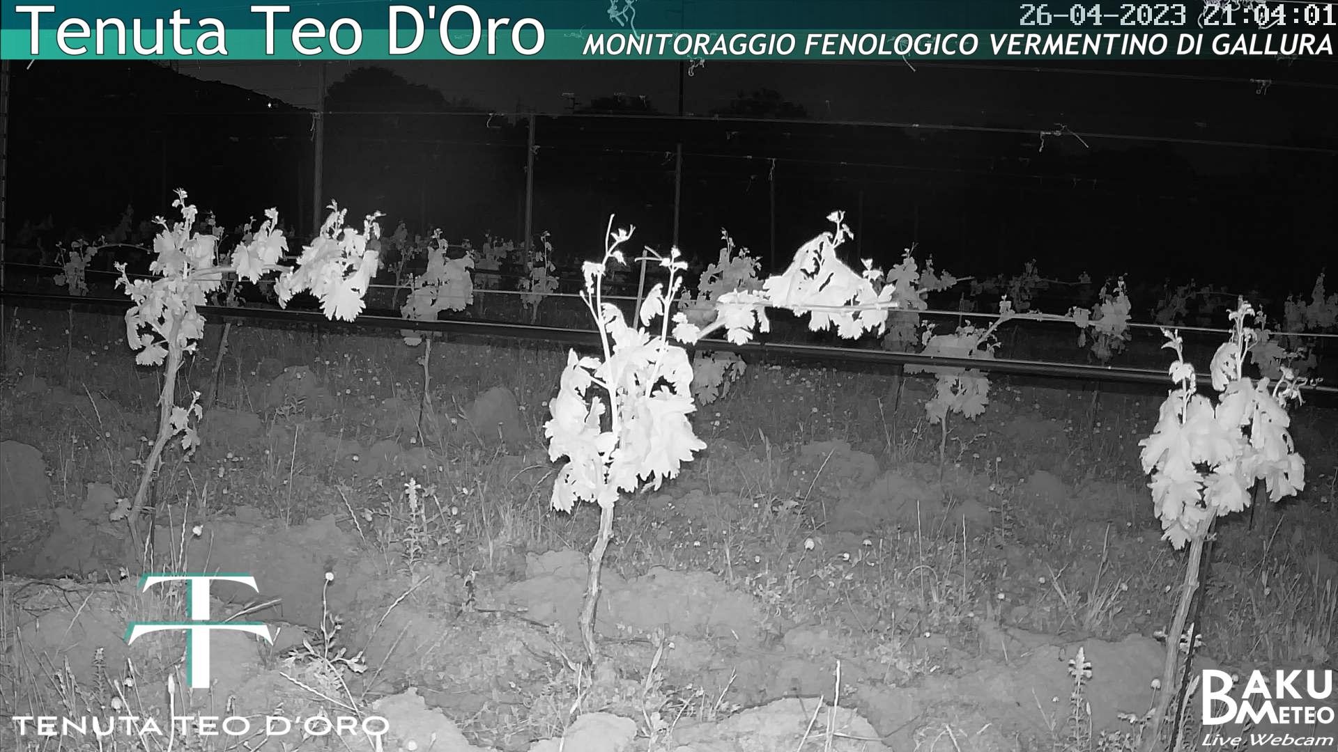 time-lapse frame,  webcam