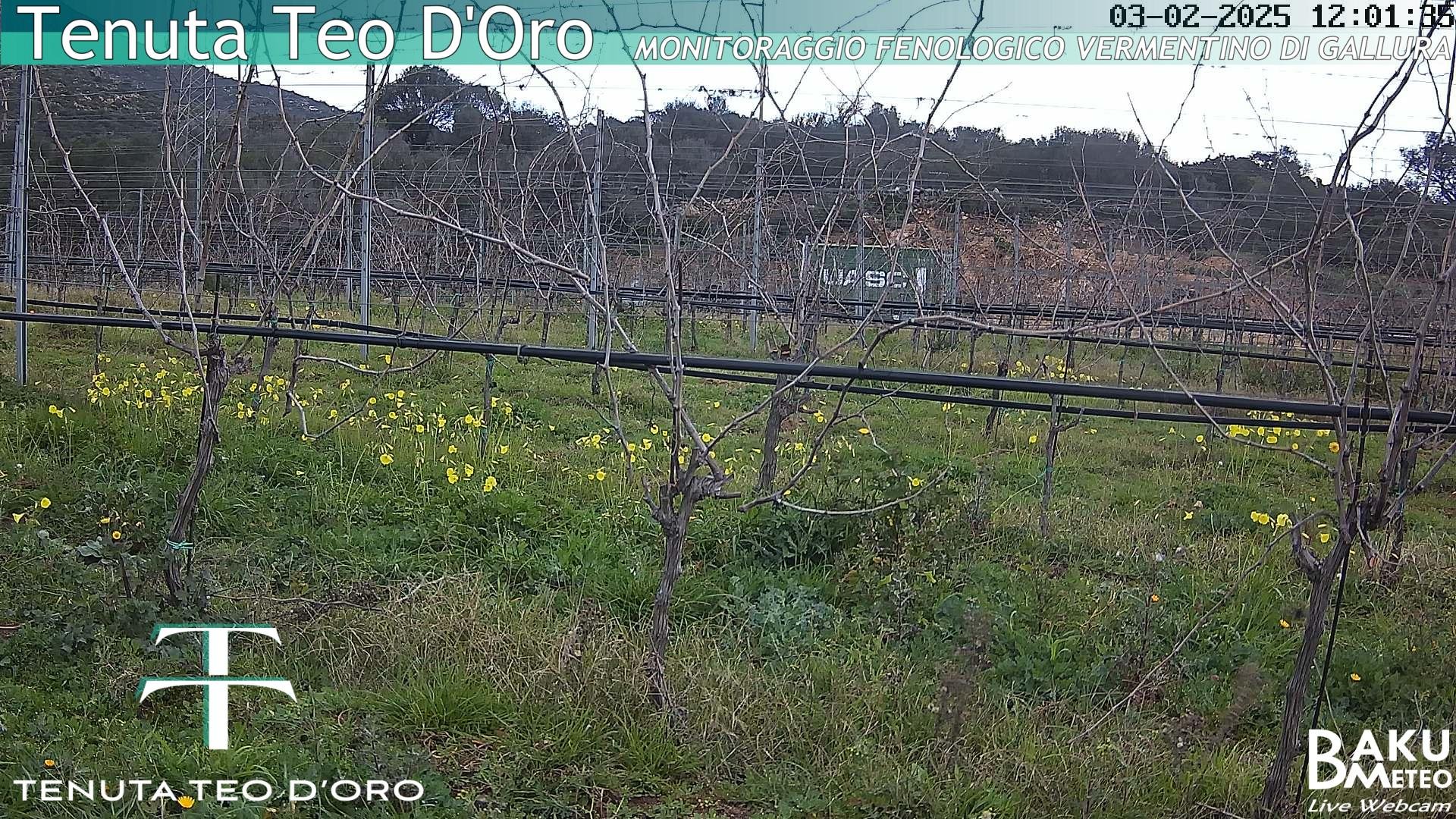 time-lapse frame,  webcam