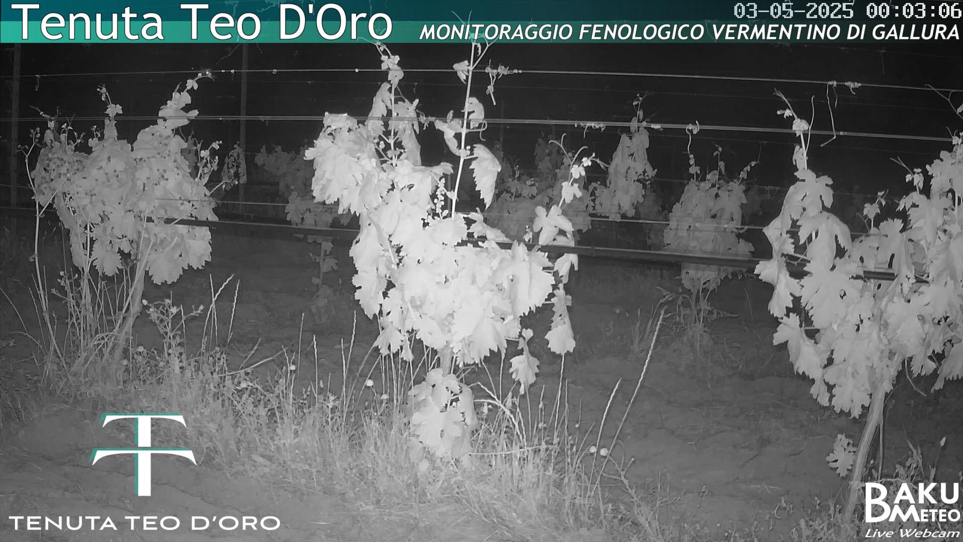 time-lapse frame, Teodoro webcam