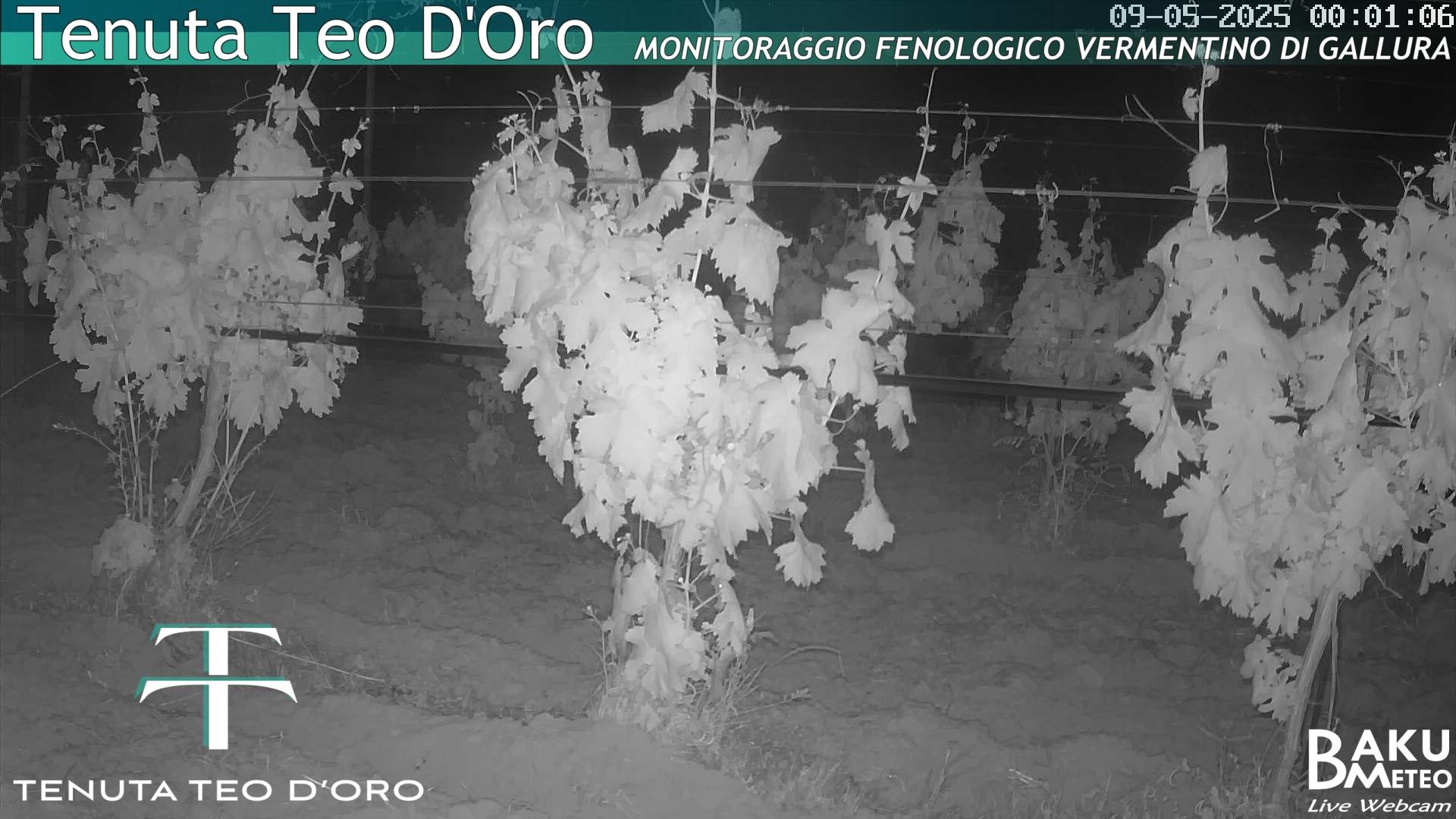 time-lapse frame, Teodoro webcam