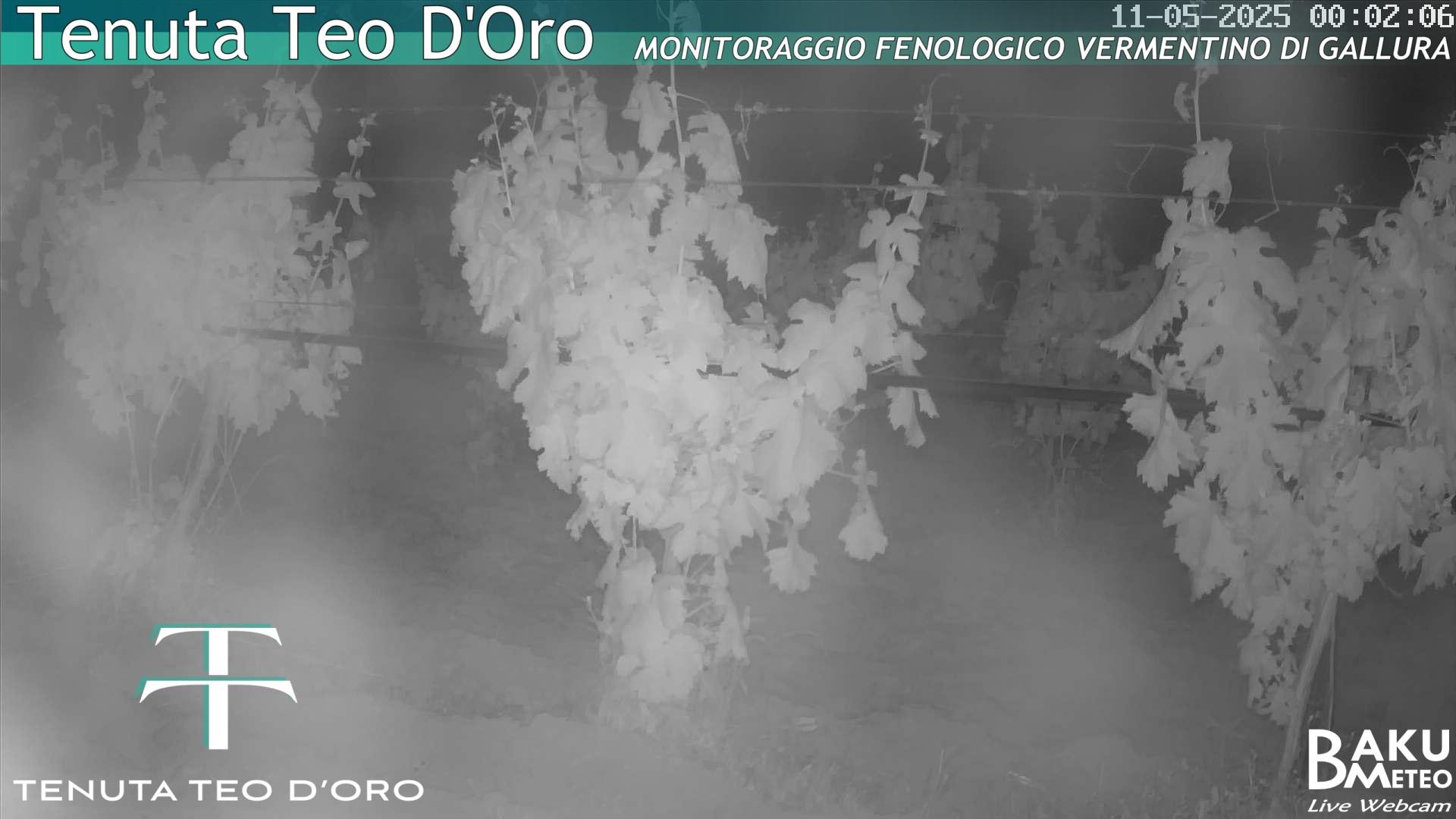 time-lapse frame, Teodoro webcam