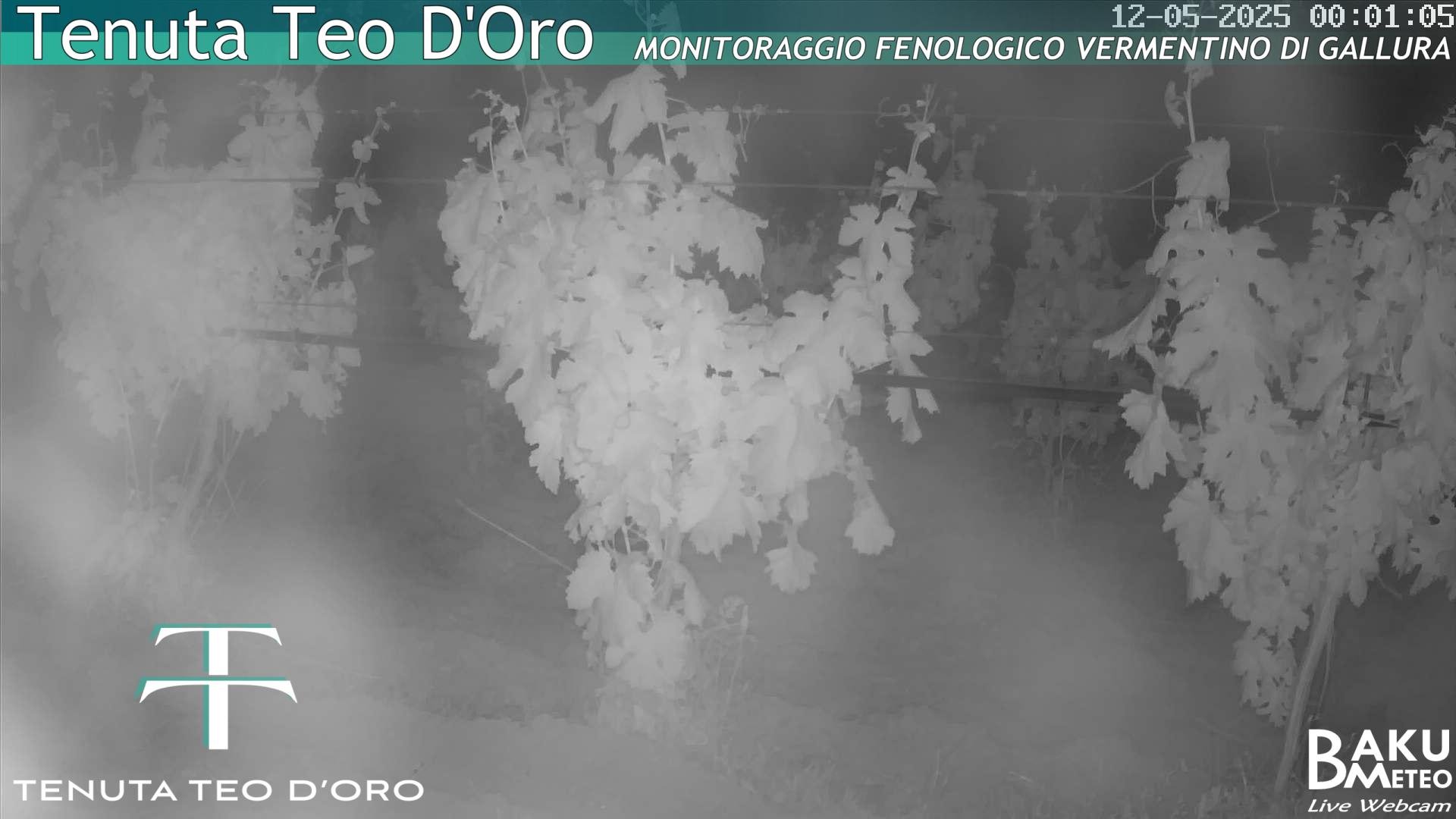 time-lapse frame, Teodoro webcam