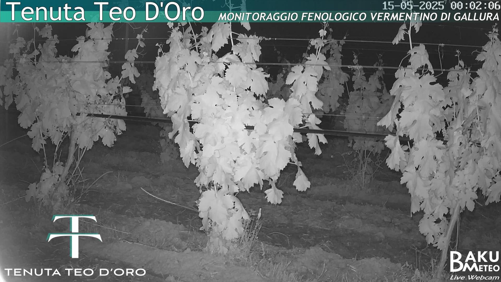 time-lapse frame, Teodoro webcam
