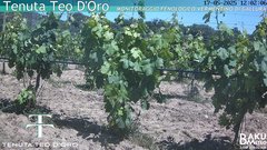 view from Teodoro on 2025-05-17
