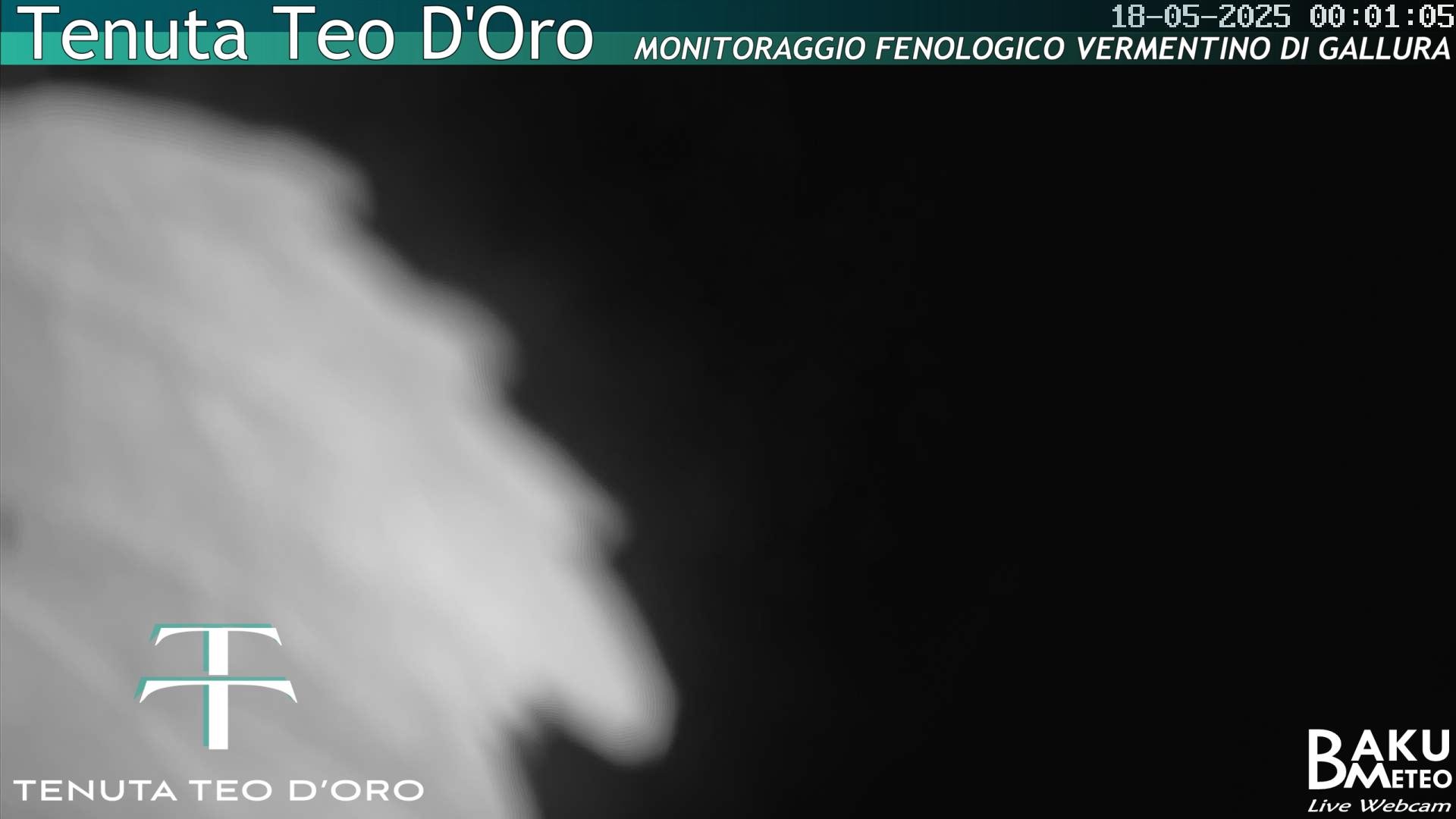time-lapse frame, Teodoro webcam