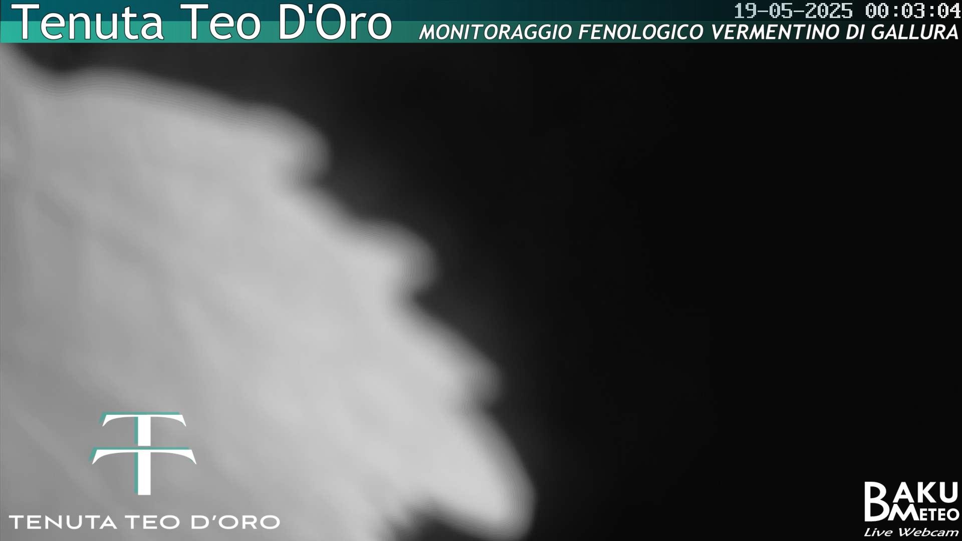 time-lapse frame, Teodoro webcam