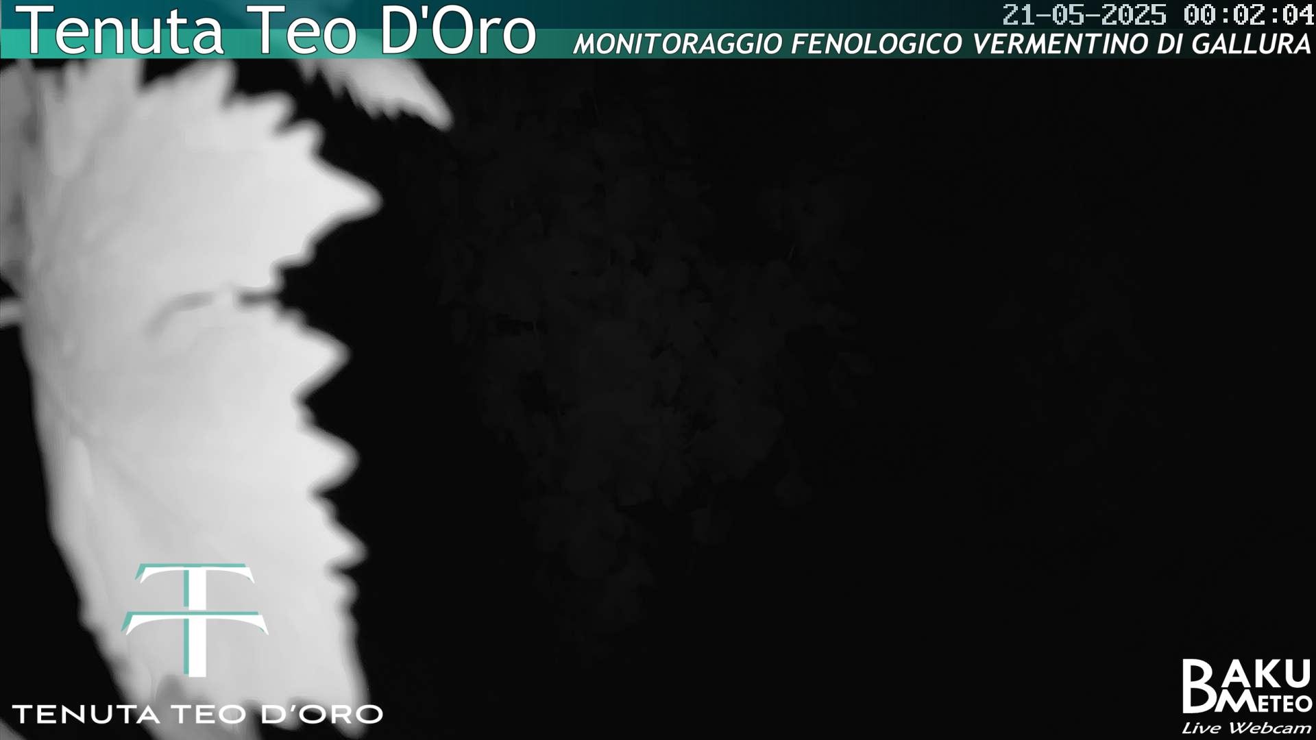time-lapse frame, Teodoro webcam