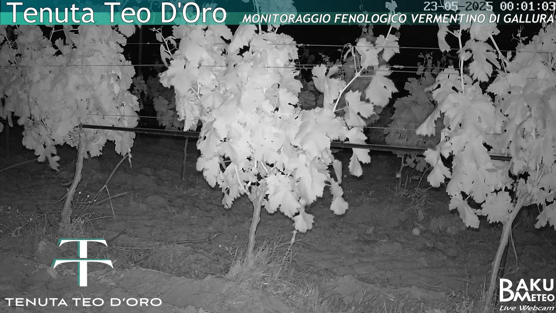time-lapse frame, Teodoro webcam